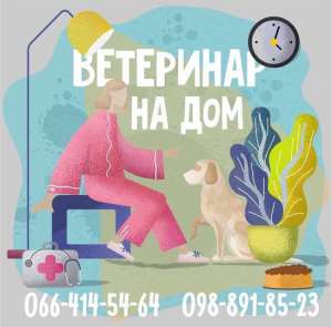 Ветеринар на дом в Харькове - объявление