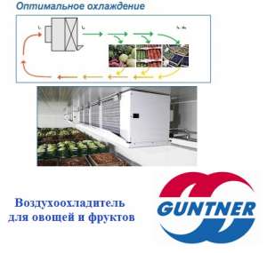 Воздухоохладители для овощей и фруктов (GUNTNER). - объявление