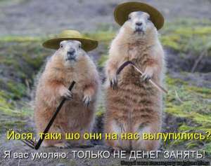 Выгодно вложить деньги? - объявление