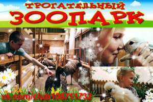 Выездной, познавательный зоопарк, анимация с животными - объявление