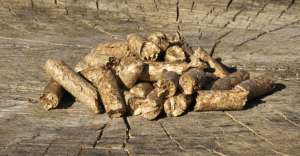 Высококачественные Дубовые Пеллеты ( Oak Pellets ) - объявление