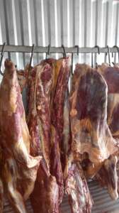 Говядина в четвертях 1кат, блочная в/с, 1с, 2с, субпродукты. - объявление