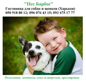Гостиница для собак. Залютино от 50 до 250 грн. VIP комната. Свободный выгул, 15 мин. от метро - оголошення