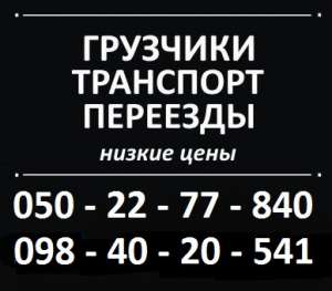 Грузовое такси+грузчики.Переезды по всей Украине. - объявление