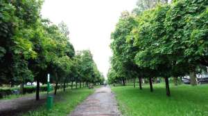 Двух земельных участков, Соломенский район. - оголошення