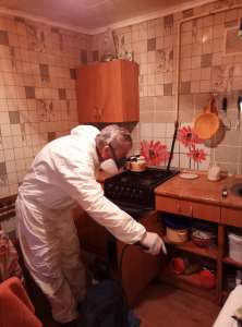 Дезинсекция тараканов и клопов. Травля тараканов Одесса - объявление