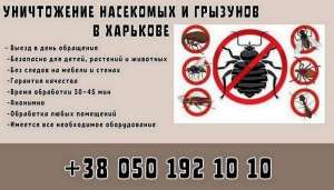 Дезинфекция помещения от насекомых и грызунов. - объявление