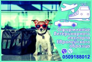 Довідка на титри, ветеринарний паспорт - объявление