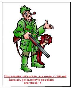 Документи для мисливських собак – вирішуємо питання з оформленням