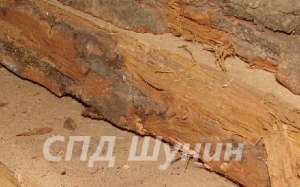 Доска сухая необрезная в Киеве от производителя - объявление