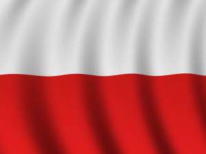 Доставка сборных грузов из Польши - объявление