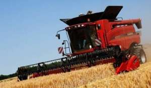 Жатка для комбайна CASE, New Holland для уборки подсолнуха - оголошення