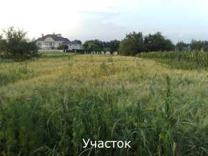 Живописный участок под киевом - оголошення