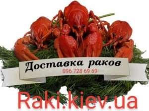 Закупаем Раки живые оптом - объявление