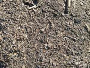 Закупаем деловой сор и отходы зерновых. - объявление