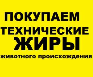 Закупаем животные технические жиры. - объявление