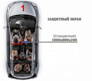 Захисні екрани для водіїв таксі,та поліцейських автомобілів. - объявление
