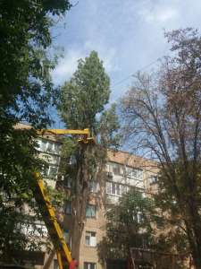 #Здійснюємо #Спил #Дерев з #Автовишки - объявление