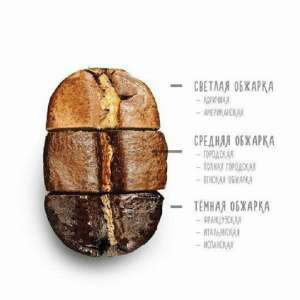 Зерновой кофе свежеобжаренный - объявление