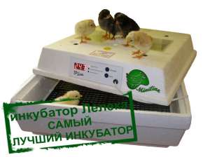 Инкубатор Лелека – самый лучший инкубатор для яиц - объявление