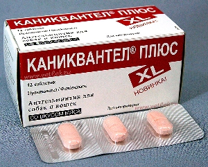 Каниквантел (12табл.в уп.) 325грн - объявление