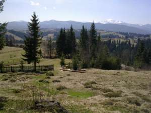 Карпаты - Яблуница, 52 сотки продам, по 2000 у.е., новая дорога на Буковель - оголошення