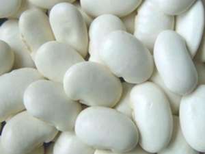 Квасоля від виробника. Різні сорти в наявності - объявление