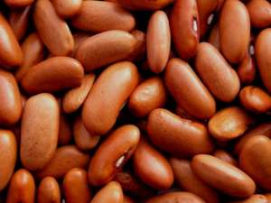 Квасоля, відбірні, перевірені сорти - объявление