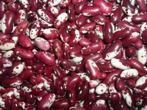 Квасоля якісна, чиста, небита. Великий вибір сортів - объявление