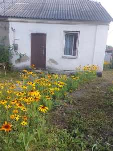 Клавдієве- Тарасове, 1/2 частина будинку; 47 м2, 3 кімнати , 8 соток; 22000 у.о - оголошення