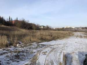 Комерційна ділянка м. Тернопіль. - объявление