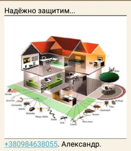 Комплексное уничтожение насекомых, грызунов. - оголошення