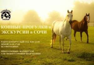 Кони в Сочи. Конный клуб Триумф. Конные прогулки в Сочи. - объявление