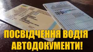 Консультации и помощь по вопросу оформления водительского удостоверения! - объявление