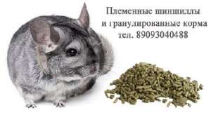 Корма и клетки для разведения шиншилл. - объявление