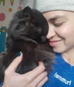 Котик-подросток ищет дом - объявление