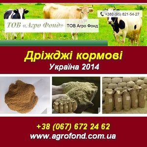 Купить Дріжджі кормові від виробника за ОПТ цінами Україна - объявление