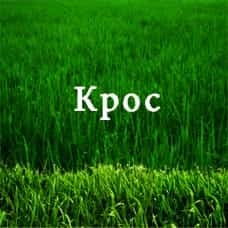 Купить Стимулятор роста растений Крос - объявление