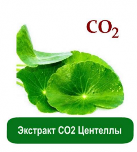 Купить Экстракт СО2 Центеллы, 1 кг - объявление