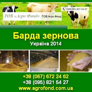 Купить барду Зернову, суху. Протеїн 32-36 % Україна. - объявление