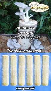 Купить продажа мицелий «грибные палочки», мицелий на брусочках, палочках, сухой мицелий. - объявление