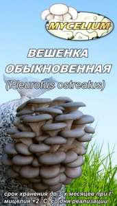 Купить продажа мицелий вешенки, шампиньона, шиитаке, опенка Недорого! Міцелій гливи, печериці