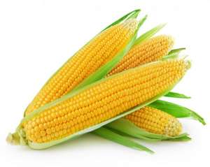 Куплю кукурудзу дорого - объявление