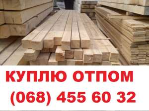 Куплю лес оптом - объявление