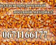 Куплю семена без всхожести! - объявление