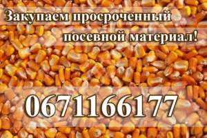 Куплю семена с истекшим сроком годности - объявление