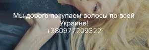 Купуємо волосся дорого Чернівці. - объявление