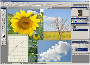 Курс "Adobe Photoshop (Фотошоп)" базовый - объявление