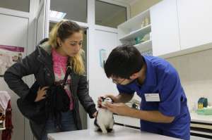 Лечение животных в Киеве