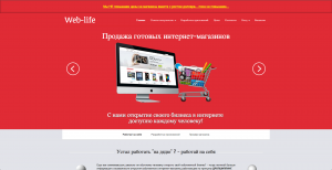 Личный интернет-магазин - это инвестиция в свое будущее - объявление